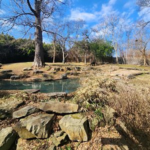 Nashville Zoo - Baird's Tapir enclosure