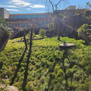 Nashville Zoo - Komodo Dragon exhibit