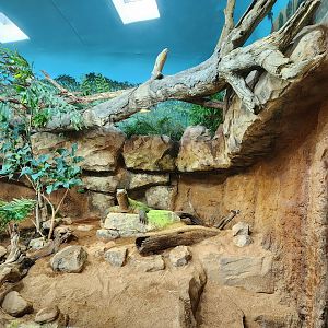 Nashville Zoo - Monitor indoor area