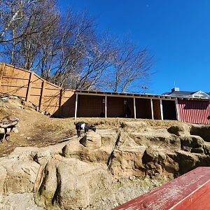 Rainforest Adventures - Emu/goat yard