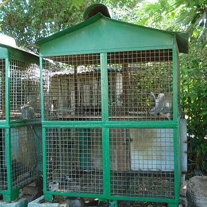 Monkey cages