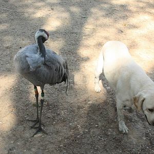 Canada de los Pájaros - parque de aves