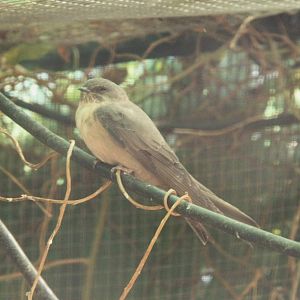 Canada de los Pájaros - parque de aves