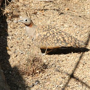 Canada de los Pájaros - parque de aves