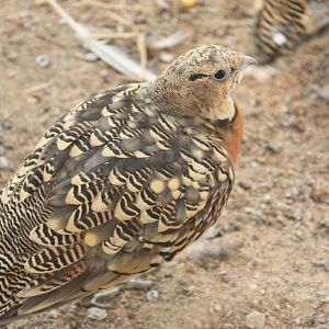 Canada de los Pájaros - parque de aves