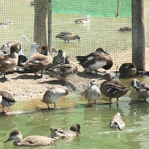 Canada de los Pájaros - parque de aves