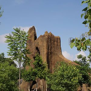 Fake hollow trunk viewing