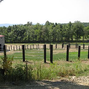 International Conservation Center - Elephant Yard