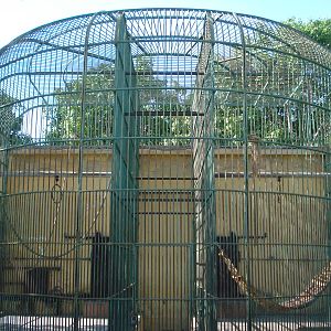 Old chimpanzee cages