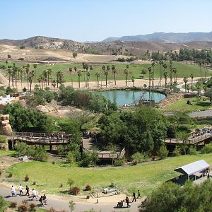 Lion Camp - Overview with Journey Into Africa in Background