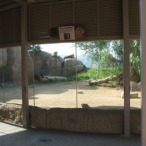 Lion Camp - Viewing Shelter