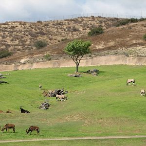 South Africa Exhibit