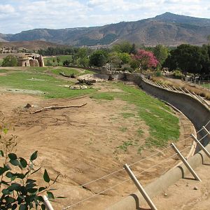 African Elephant Exhibit