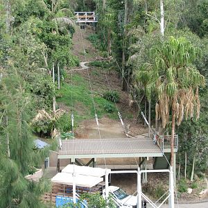 Flightline - Small Practice Zipline in Former Australian Forest