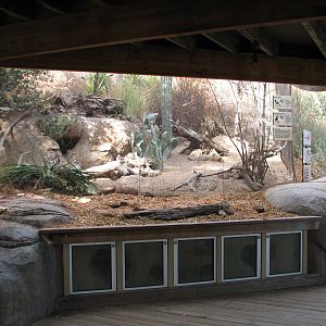 Condor Ridge - Western Burrowing Owl and Magpie Exhibit