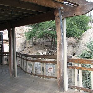 Condor Ridge - California Condor Viewing Area