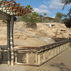 Condor Ridge - Desert Bighorn Sheep Exhibit