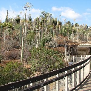 Condor Ridge - Boardwalk with View of Baja Garden