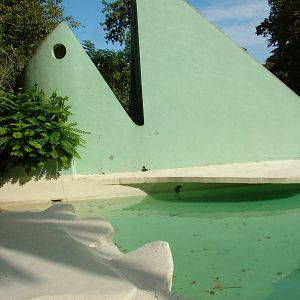 Part of the Grey Seal Pool at Bioparco Rome 15/10/09