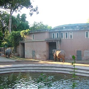 Elephant House and paddock at Bioparco Rome 15/10/09