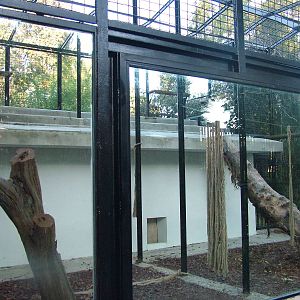 Leopard exhibit at Bioparco Rome 15/10/09