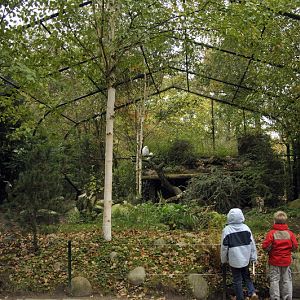 Snowy owl enclosure at Hagenbeck, Hamburg