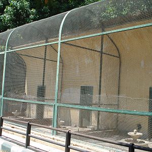 Old aviaries