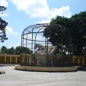 Old bird of prey aviary