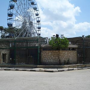 Pigeon / dove aviaries