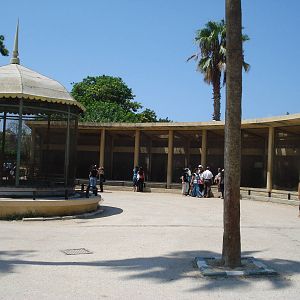 Aviaries