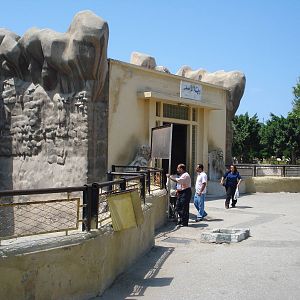 Lion house