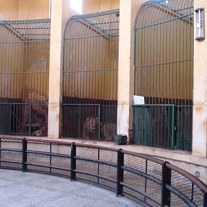 Cages inside lion house