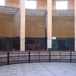 Cages in the lion house
