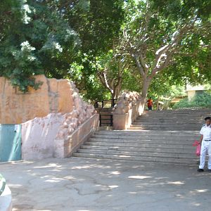 Steps to upper level