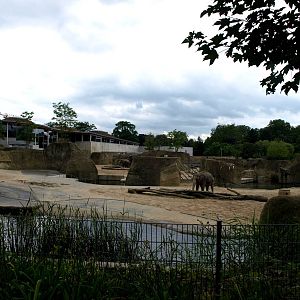 Cologne Zoo - Elefantenpark
