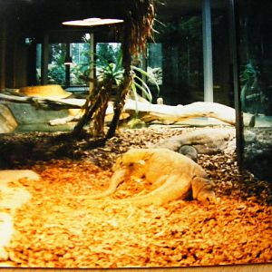 komodo monitor enclosure around 1998