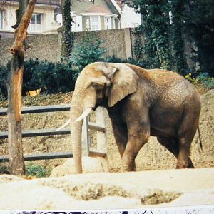 Kenny (?) 1994-damn, should be Basel!!