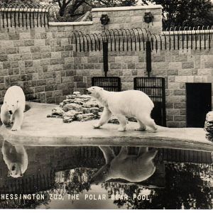 The Ness prior to the building of Shaldon Zoo