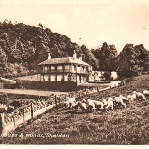 The Ness prior to the building of Shaldon Zoo