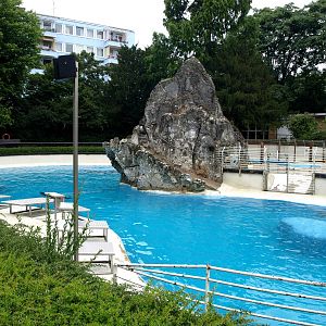 Cologne Zoo - Sea lion exhibit