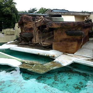 Cologne Zoo - Little penguin exhibit