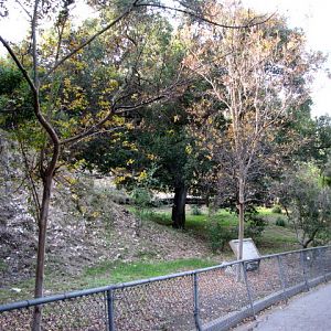 The Fall Season In L.A.