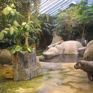 Aalborg Zoo - African tropical house