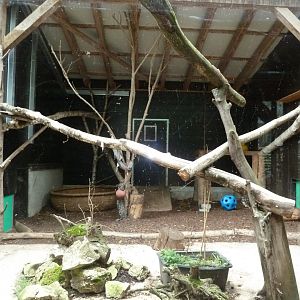 Sikypark Crémines - Leopard separation