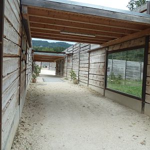Sikypark Crémines - Tiger visitor tour