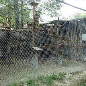 Sikypark Crémines - Parrot aviary