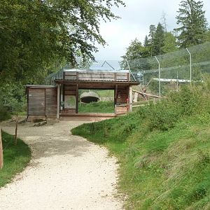 Sikypark Crémines - Northern lynx viewing point