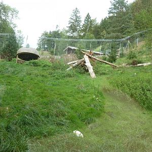 Sikypark Crémines - Northern lynx enclosure