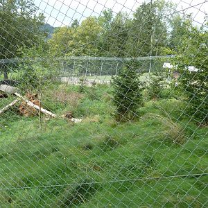 Sikypark Crémines - Northern lynx enclosure