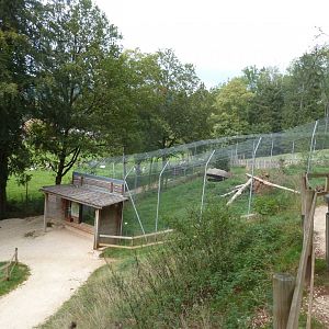 Sikypark Crémines - Northern lynx enclosure